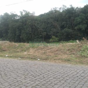 Terreno com 510m², no bairro Ana Rech em Caxias do Sul para Comprar