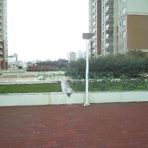 Apto Mobiliado com 144m², 3 dormitórios, 2 vagas, no bairro Cristo Redentor em Caxias do Sul para Alugar