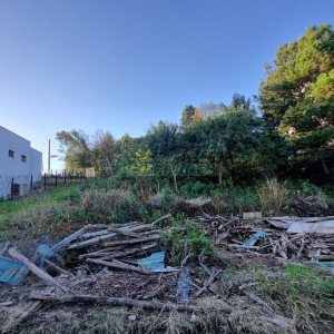 Terreno com 720m², no bairro São Luiz em Caxias do Sul para Alugar