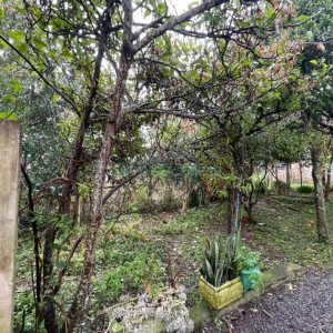 Casa com 360m², 2 dormitórios, no bairro Nossa Senhora de Fátima em Caxias do Sul para Comprar