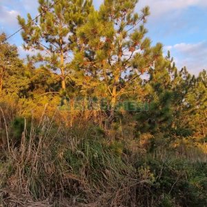 Terreno com 360m², no bairro Parada Cristal em Caxias do Sul para Comprar