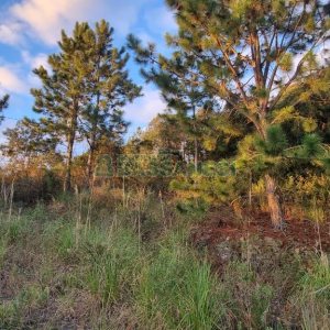 Terreno com 360m², no bairro Parada Cristal em Caxias do Sul para Comprar