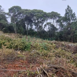 Terreno com 300m², no bairro Parada Cristal em Caxias do Sul para Comprar