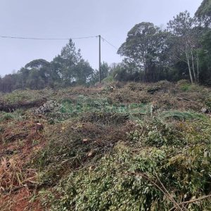 Terreno com 300m², no bairro Parada Cristal em Caxias do Sul para Comprar