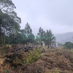 Terreno com 300m², no bairro Parada Cristal em Caxias do Sul para Comprar