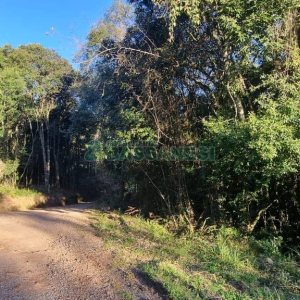 Terreno com 25260m², no bairro Fazenda Souza em Caxias do Sul para Comprar