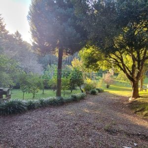 Chácara com 300m², 4 dormitórios, no bairro Fazenda Souza em Caxias do Sul para Comprar