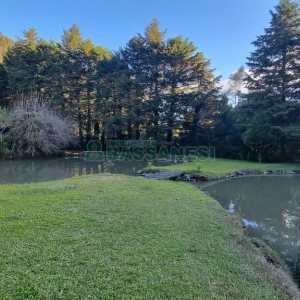 Chácara com 300m², 4 dormitórios, no bairro Fazenda Souza em Caxias do Sul para Comprar