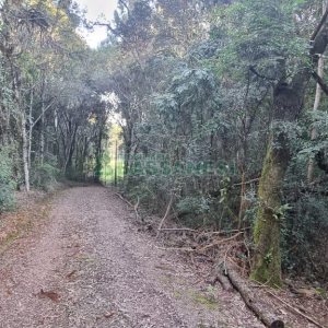 Chácara com 300m², 4 dormitórios, no bairro Fazenda Souza em Caxias do Sul para Comprar