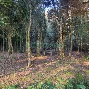 Chácara com 300m², 4 dormitórios, no bairro Fazenda Souza em Caxias do Sul para Comprar