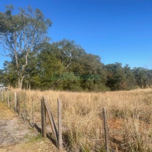 Chácara, no bairro Pedancino em Caxias do Sul para Comprar