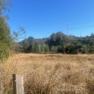 Chácara, no bairro Pedancino em Caxias do Sul para Comprar