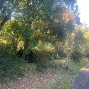 Chácara, no bairro Pedancino em Caxias do Sul para Comprar