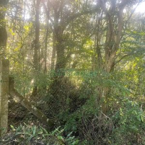 Chácara, no bairro Pedancino em Caxias do Sul para Comprar