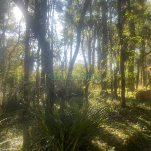 Chácara, no bairro Pedancino em Caxias do Sul para Comprar