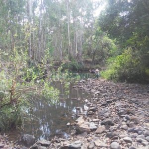 Chácara, no bairro Criúva em Caxias do Sul para Comprar