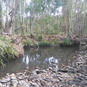 Chácara, no bairro Criúva em Caxias do Sul para Comprar