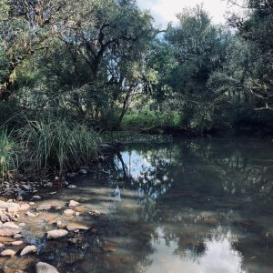 Chácara, no bairro Criúva em Caxias do Sul para Comprar