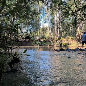 Chácara, no bairro Criúva em Caxias do Sul para Comprar