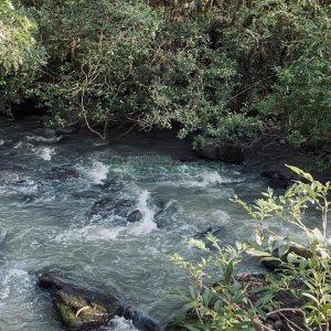 Chácara, no bairro Criúva em Caxias do Sul para Comprar