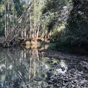 Chácara, no bairro Criúva em Caxias do Sul para Comprar