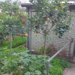 Casa com 164m², 3 dormitórios, 1 vaga, no bairro Bela Vista em Caxias do Sul para Comprar