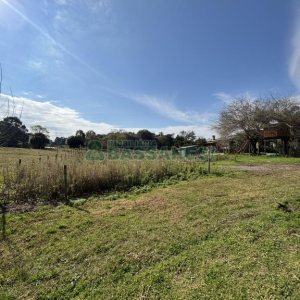 Terreno com 1320m², no bairro Linha 40 em Caxias do Sul para Comprar