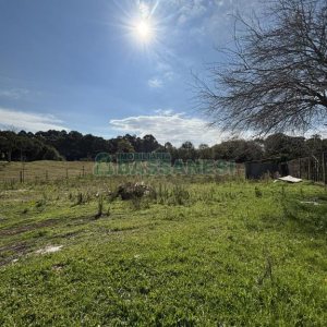 Terreno com 1320m², no bairro Linha 40 em Caxias do Sul para Comprar