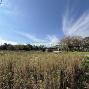 Terreno com 1320m², no bairro Linha 40 em Caxias do Sul para Comprar