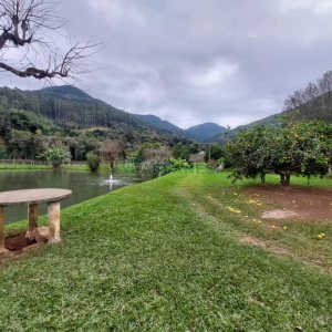 Chácara com 240000m², 4 dormitórios, no bairro Vila Cristina em Caxias do Sul para Comprar