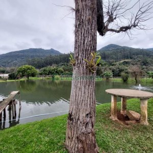 Chácara com 240000m², 4 dormitórios, no bairro Vila Cristina em Caxias do Sul para Comprar