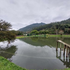 Chácara com 240000m², 4 dormitórios, no bairro Vila Cristina em Caxias do Sul para Comprar