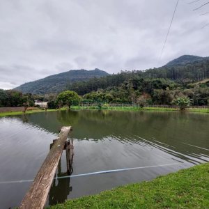 Chácara com 240000m², 4 dormitórios, no bairro Vila Cristina em Caxias do Sul para Comprar