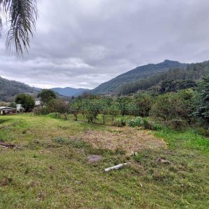 Chácara com 240000m², 4 dormitórios, no bairro Vila Cristina em Caxias do Sul para Comprar
