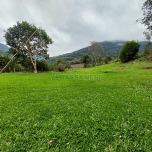 Chácara com 240000m², 4 dormitórios, no bairro Vila Cristina em Caxias do Sul para Comprar