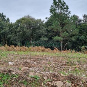 Terreno com 360m², no bairro Parada Cristal em Caxias do Sul para Comprar