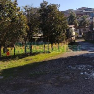 Casa com 3966m², 3 dormitórios, no bairro Esplanada em Caxias do Sul para Comprar