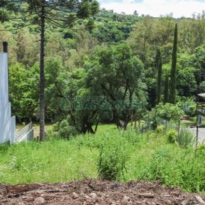 Terreno com 950m², no bairro Linha 40 em Caxias do Sul para Comprar
