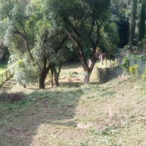 Terreno com 950m², no bairro Linha 40 em Caxias do Sul para Comprar