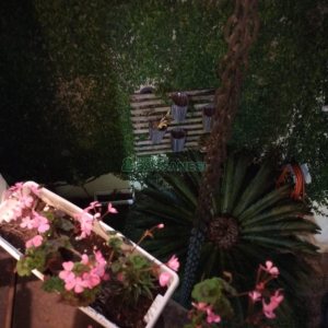 Sobrado com 90m², 2 dormitórios, 1 vaga, no bairro São Victor COHAB em Caxias do Sul para Comprar