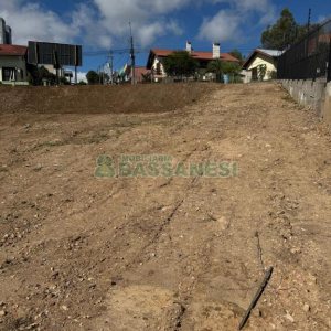 Terreno, no bairro Sanvitto em Caxias do Sul para Comprar
