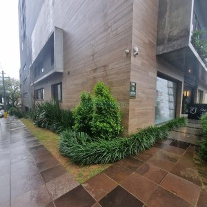 Loja com 35m², no bairro Exposição em Caxias do Sul para Alugar