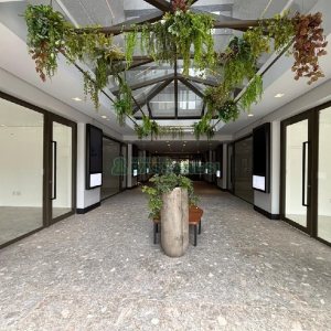 Loja com 35m², no bairro Exposição em Caxias do Sul para Alugar