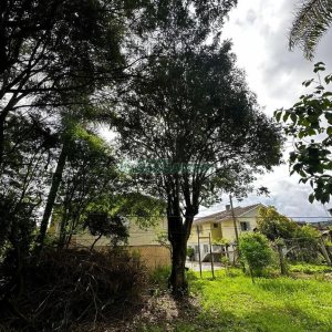 Casa com 200m², 2 dormitórios, 1 vaga, no bairro Santa Catarina em Caxias do Sul para Comprar