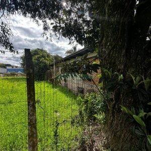 Casa com 200m², 2 dormitórios, 1 vaga, no bairro Santa Catarina em Caxias do Sul para Comprar