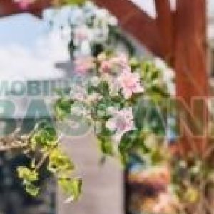 Apto Mobiliado com 110m², 3 dormitórios, 2 vagas, no bairro Petrópolis em Caxias do Sul para Alugar