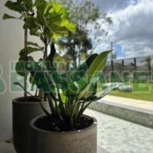 Apto Mobiliado com 110m², 3 dormitórios, 2 vagas, no bairro Petrópolis em Caxias do Sul para Alugar