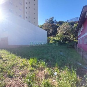 Terreno, no bairro São Leopoldo em Caxias do Sul para Comprar