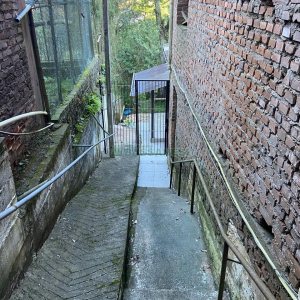 Casa com 98m², 3 dormitórios, no bairro Galópolis em Caxias do Sul para Alugar