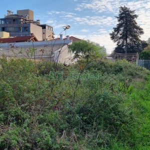 Terreno, no bairro Colina Sorriso em Caxias do Sul para Comprar
